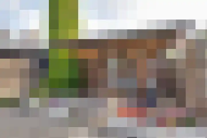 Kleine Spie 6 Rijen thumbnail 46