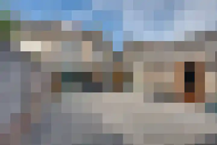 Kleine Spie 6 Rijen thumbnail 47