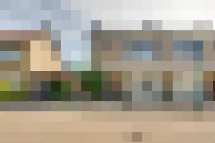 Kleine Spie 6 Rijen thumbnail 5