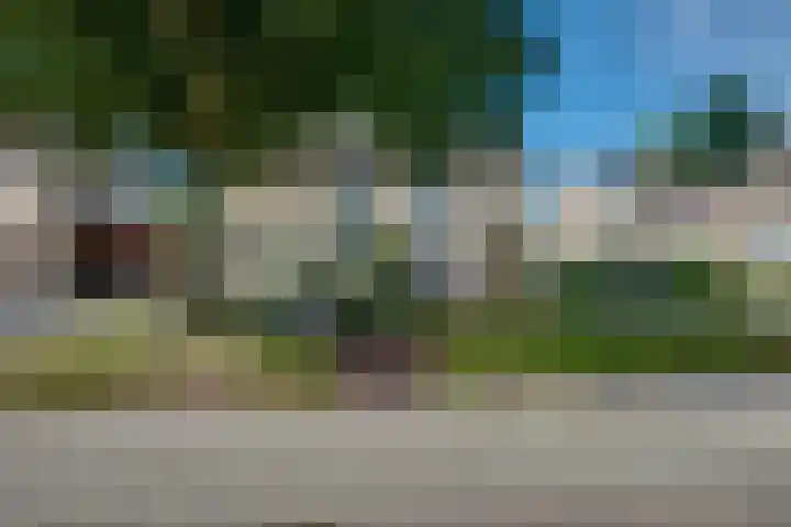 Kleine Spie 6 Rijen thumbnail 52