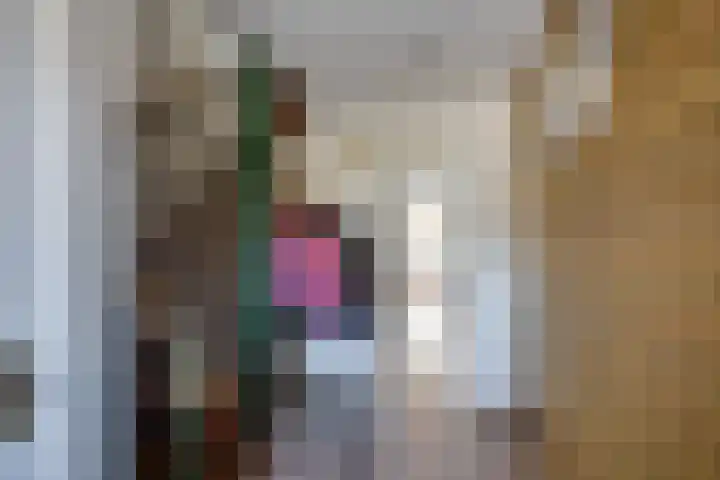 Kleine Spie 6 Rijen thumbnail 7
