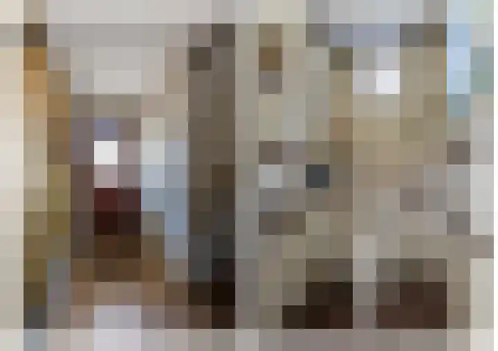 Kleine Spie 6 Rijen thumbnail 8