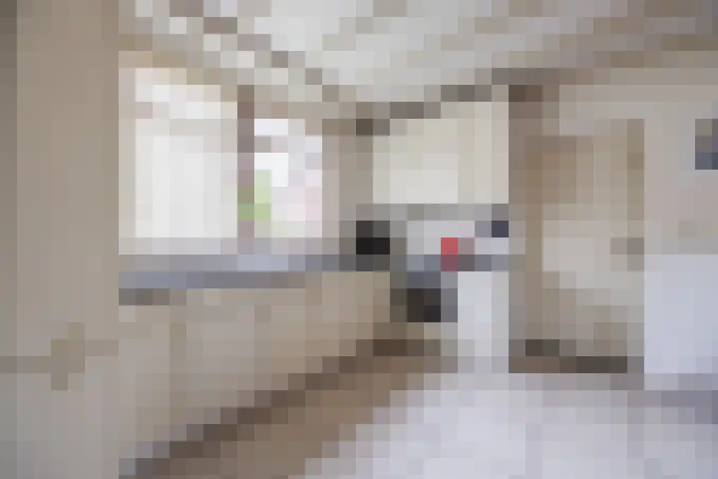 Kleine Spie 8 Rijen thumbnail 14