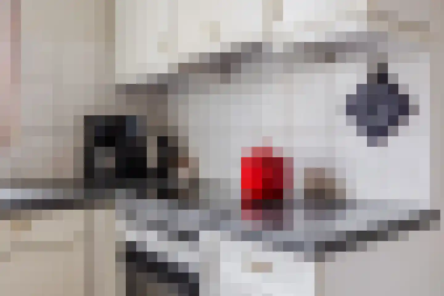 Kleine Spie 8 Rijen thumbnail 15