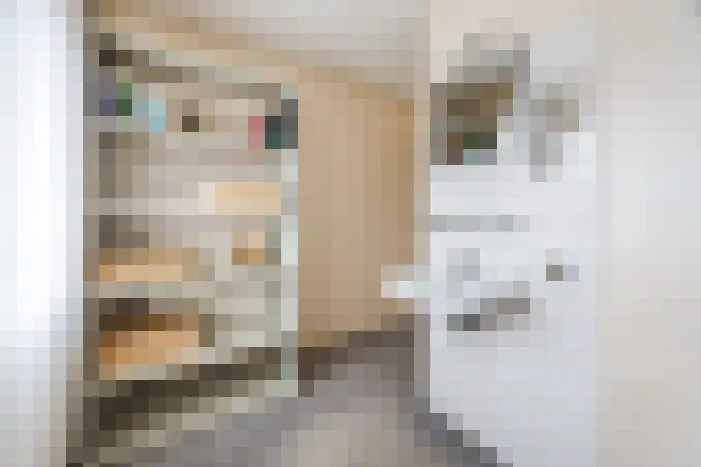 Kleine Spie 8 Rijen thumbnail 38