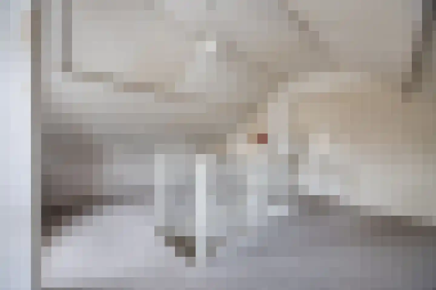 Kleine Spie 8 Rijen thumbnail 41
