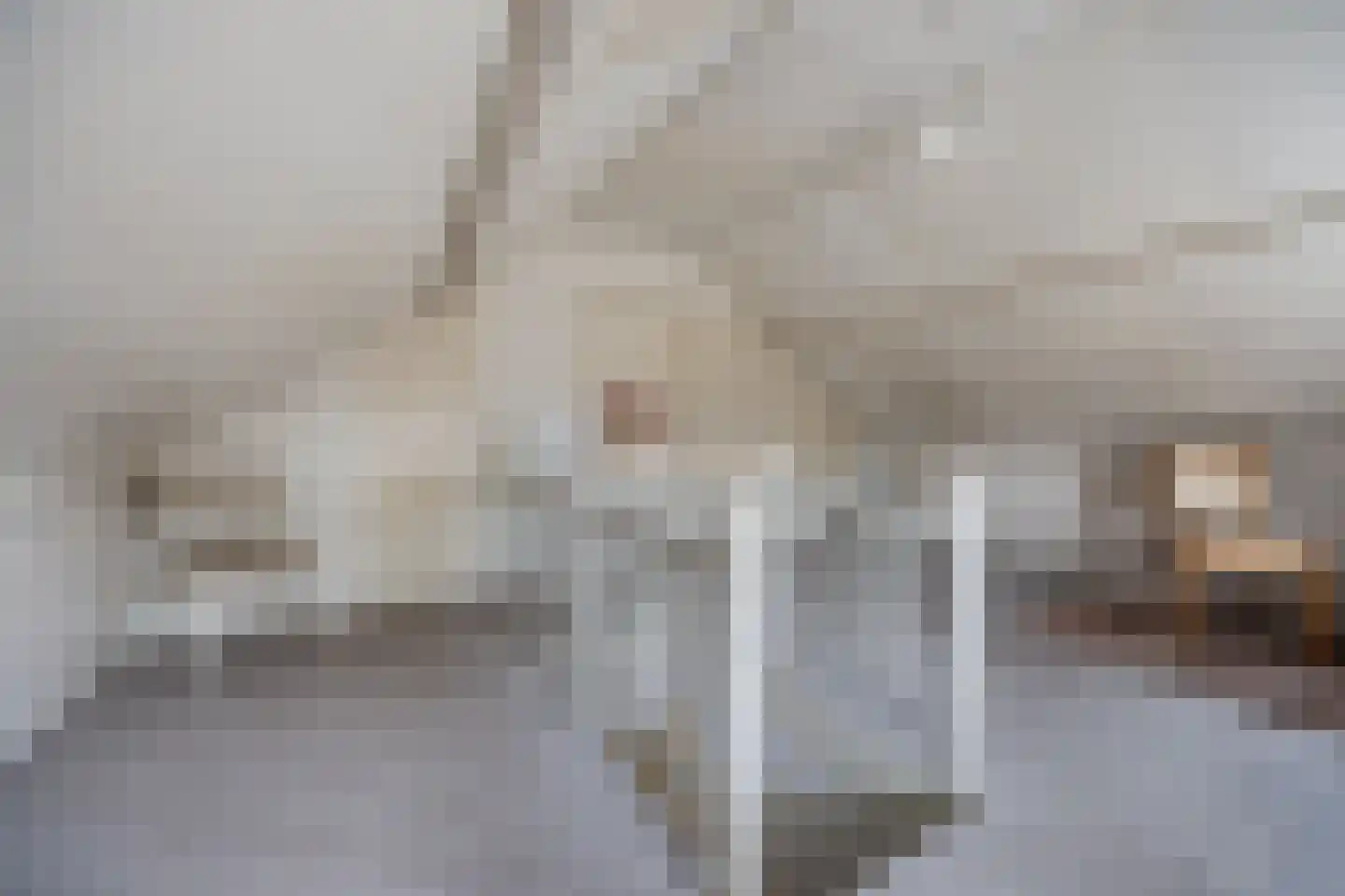 Kleine Spie 8 Rijen thumbnail 42