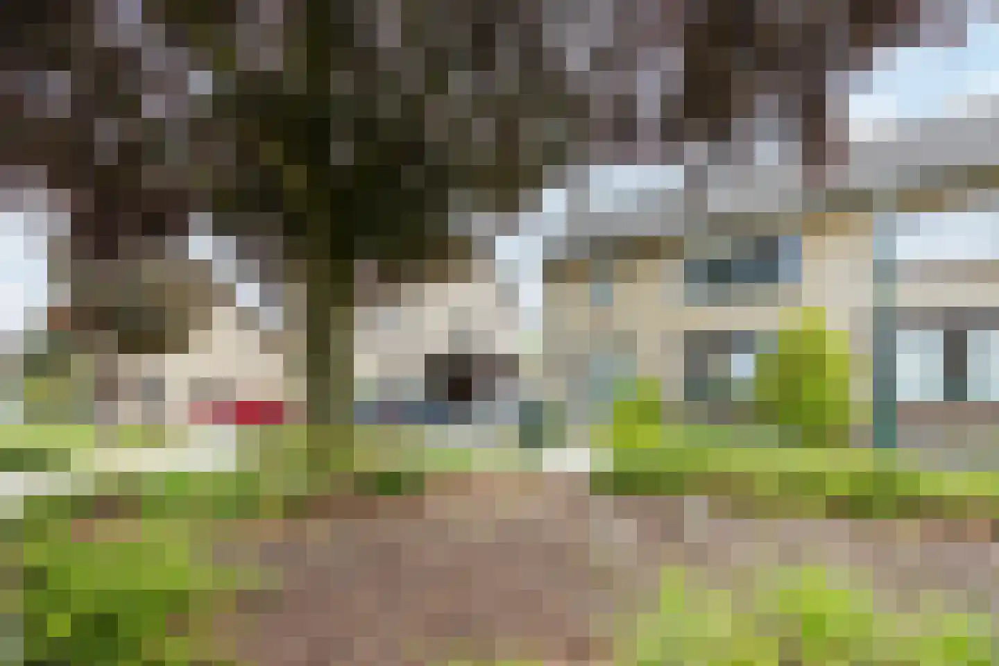Kleine Spie 8 Rijen thumbnail 46