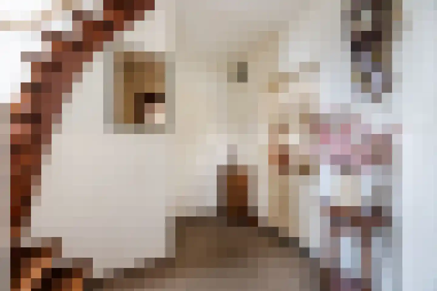 Kleine Spie 8 Rijen thumbnail 6