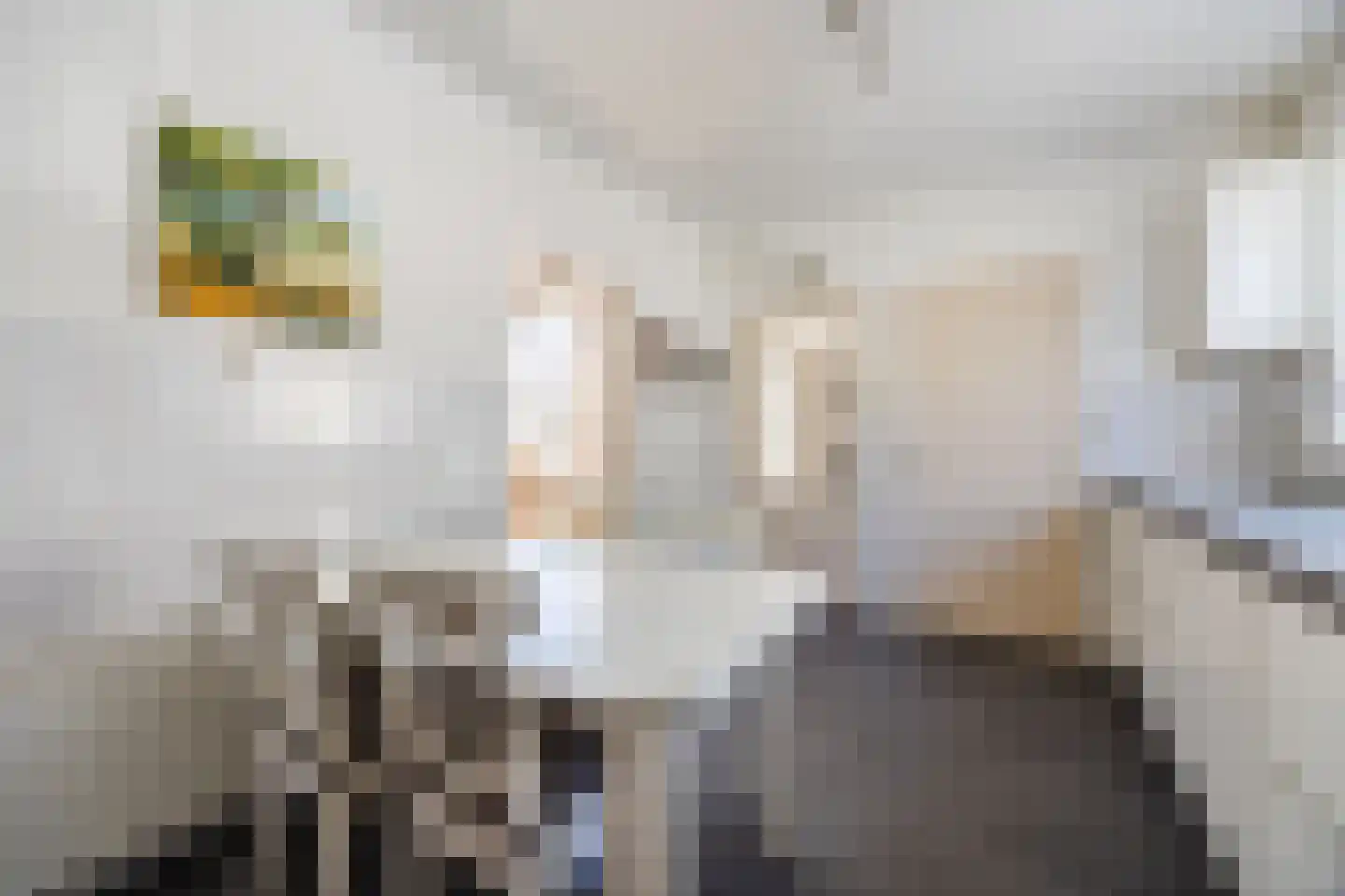 Kleine Spie 9 Rijen thumbnail 19