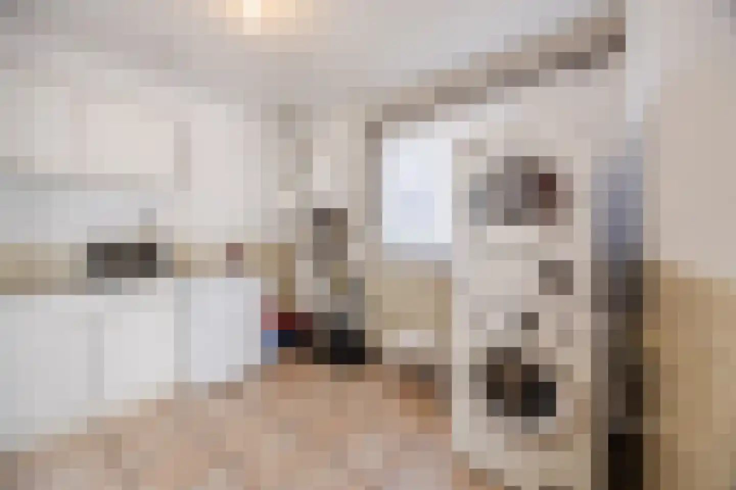Kleine Spie 9 Rijen thumbnail 22