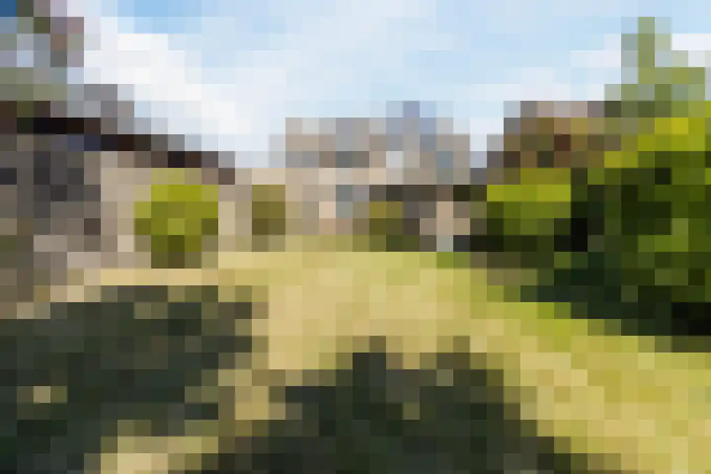 Kleine Spie 9 Rijen thumbnail 25