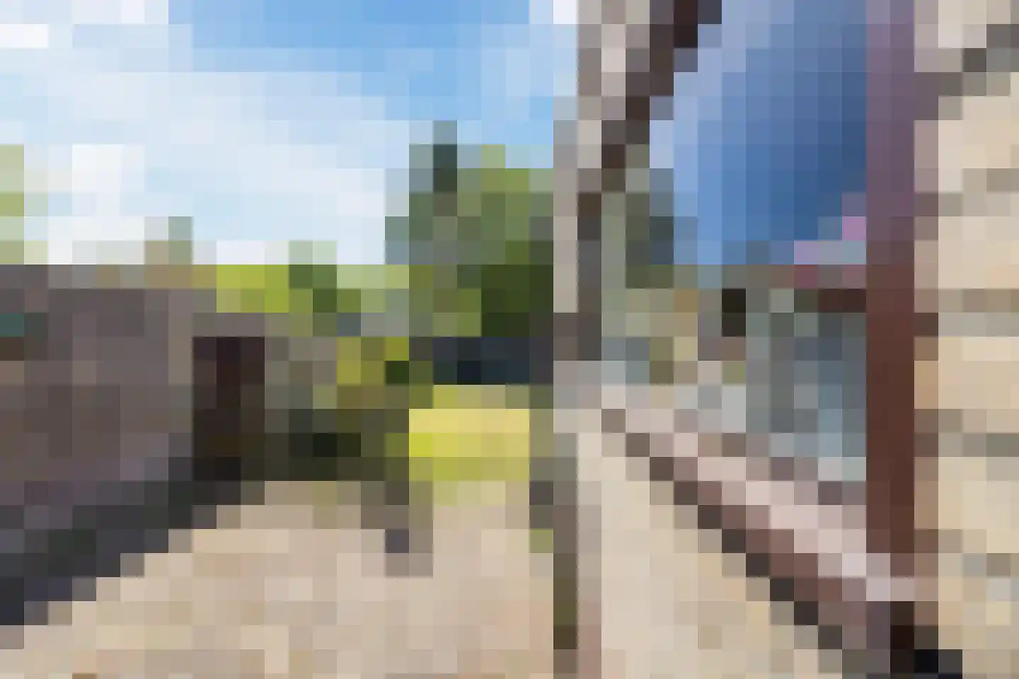 Kleine Spie 9 Rijen thumbnail 28