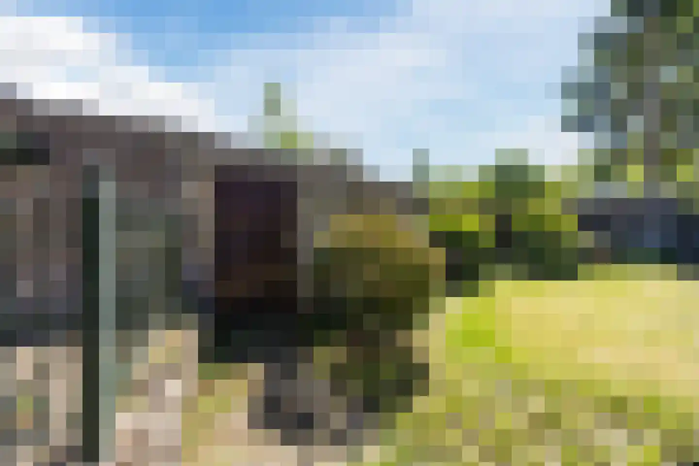 Kleine Spie 9 Rijen thumbnail 30