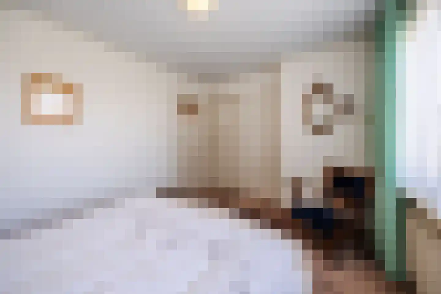Kleine Spie 9 Rijen thumbnail 37