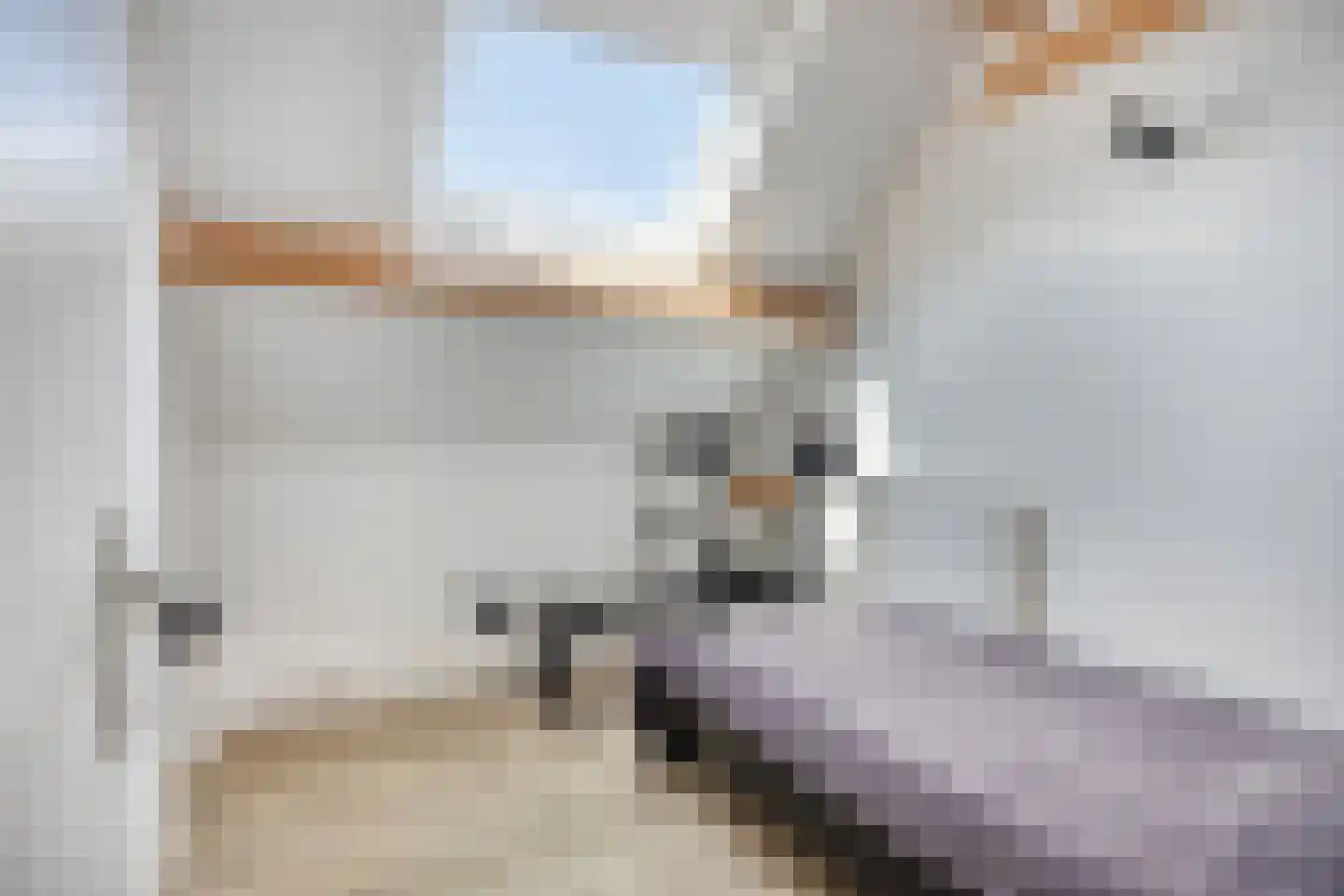 Kleine Staat 4 Nieuwstadt thumbnail 52
