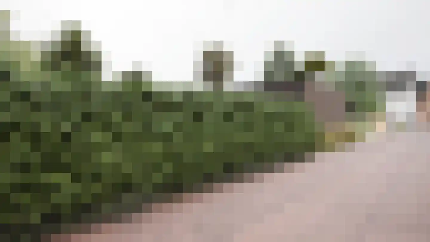 Kleine Staat 8 Nieuwstadt thumbnail 10