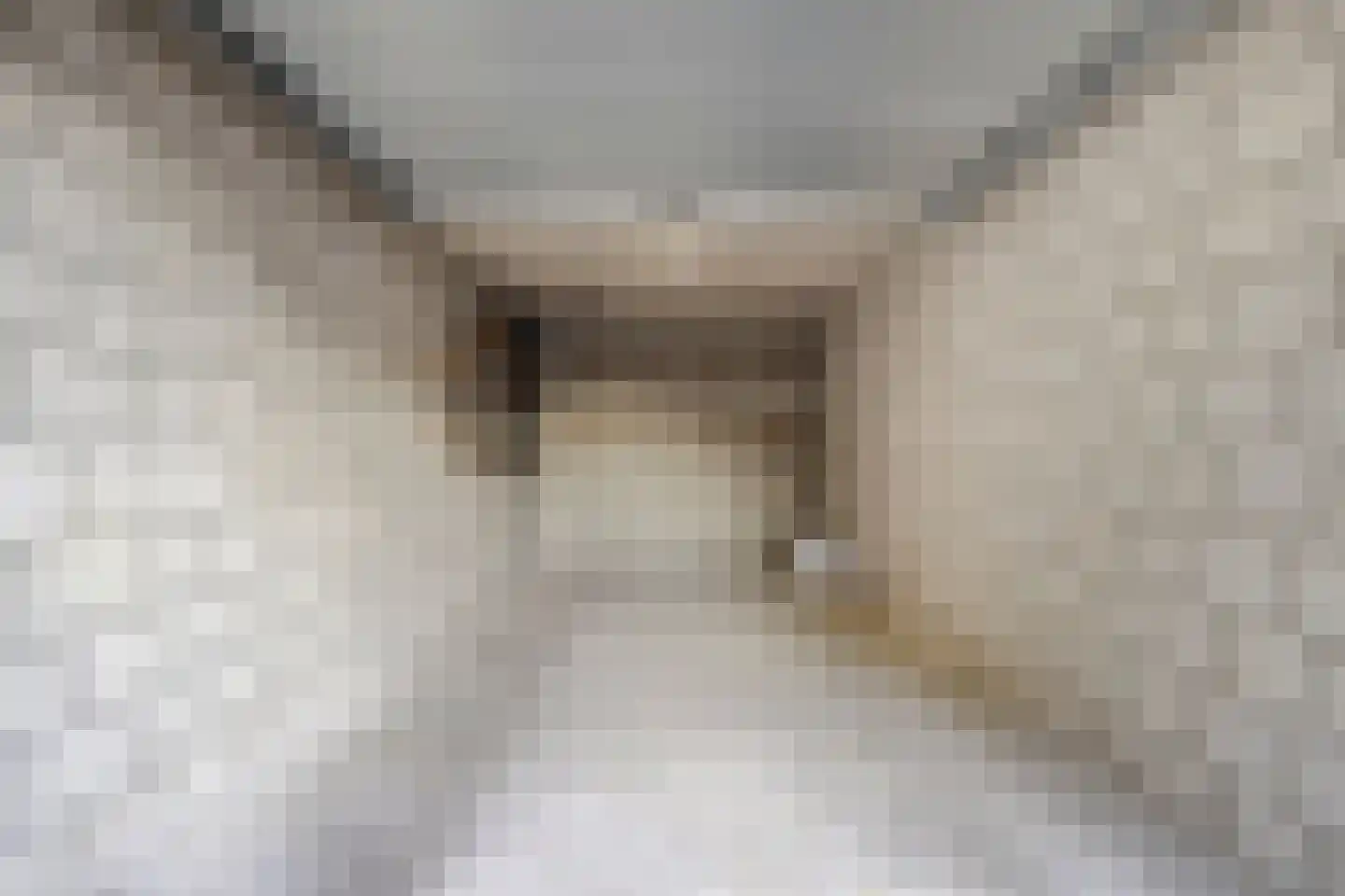 Kleine Steeg 1 4 Sittard thumbnail 23