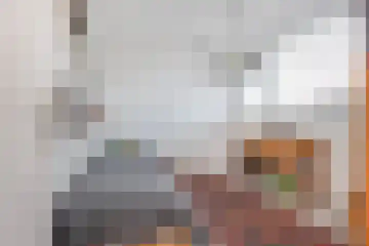 Kleine Steeg 50 Sittard thumbnail 22