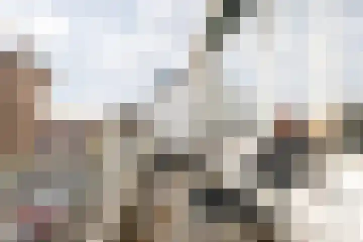 Kleine Steeg 50 Sittard thumbnail 25