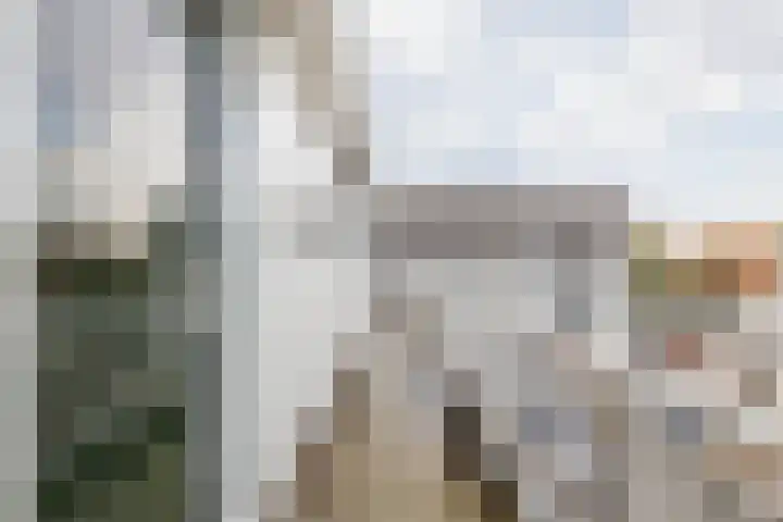 Kleine Steeg 50 Sittard thumbnail 9