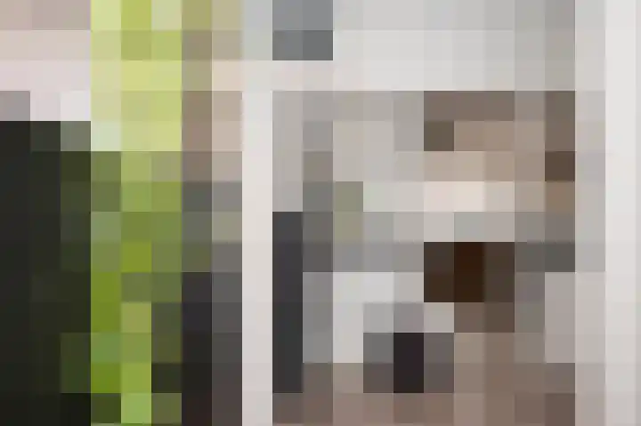 Kleine Steeg 54 Sittard thumbnail 11