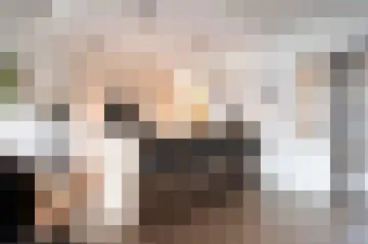 Kleine Steeg 54 Sittard thumbnail 15