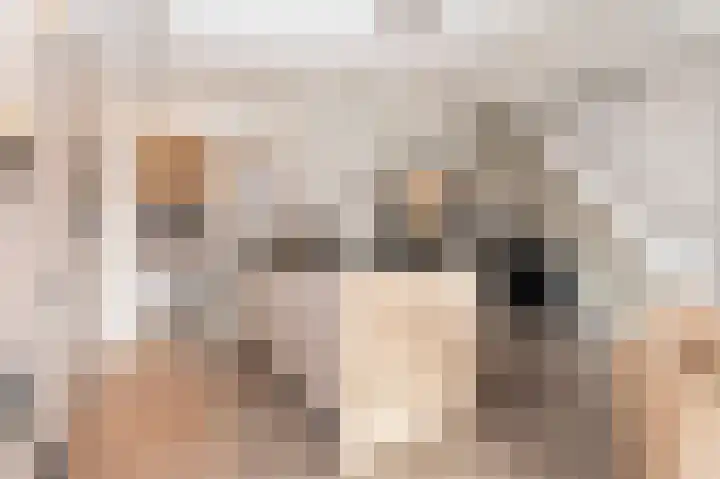 Kleine Steeg 54 Sittard thumbnail 16