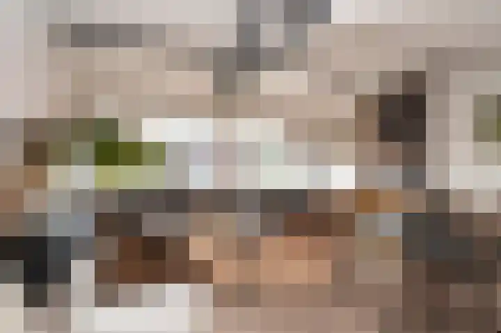 Kleine Steeg 54 Sittard thumbnail 18