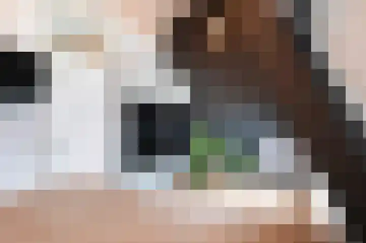 Kleine Steeg 54 Sittard thumbnail 23