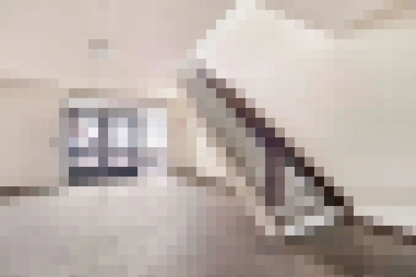 Kleine Steeg 66 Sittard thumbnail 5