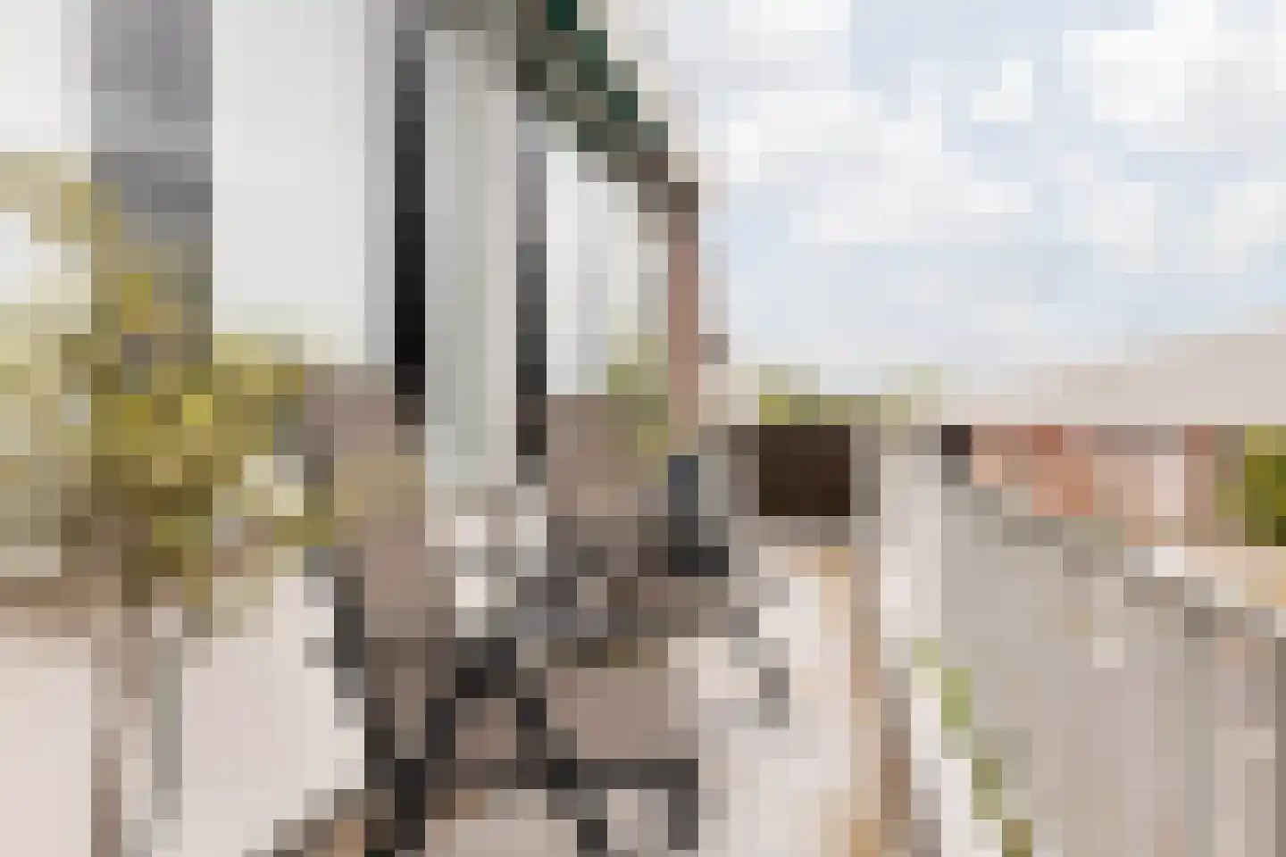 Kleine Steeg 96 Sittard thumbnail 30