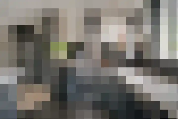 Kleine Steenkamp 14 Westervoort thumbnail 17