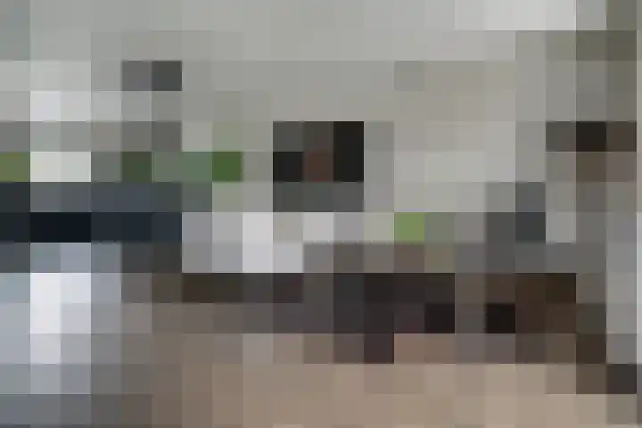 Kleine Steenkamp 14 Westervoort thumbnail 21