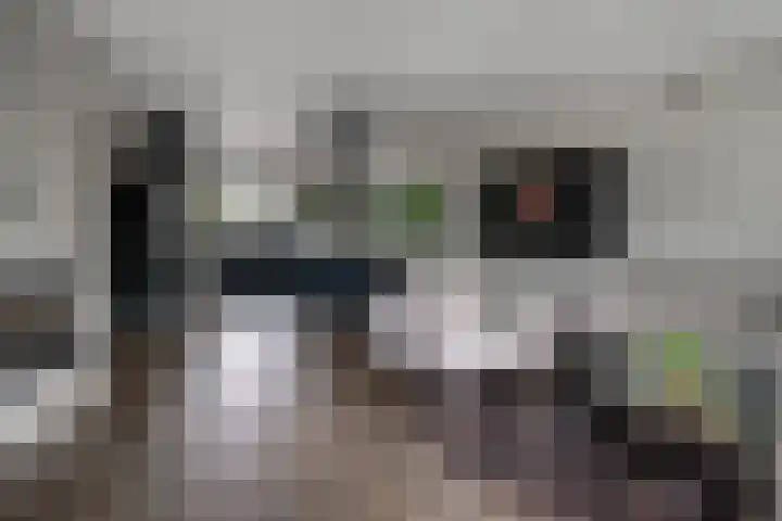 Kleine Steenkamp 14 Westervoort thumbnail 22