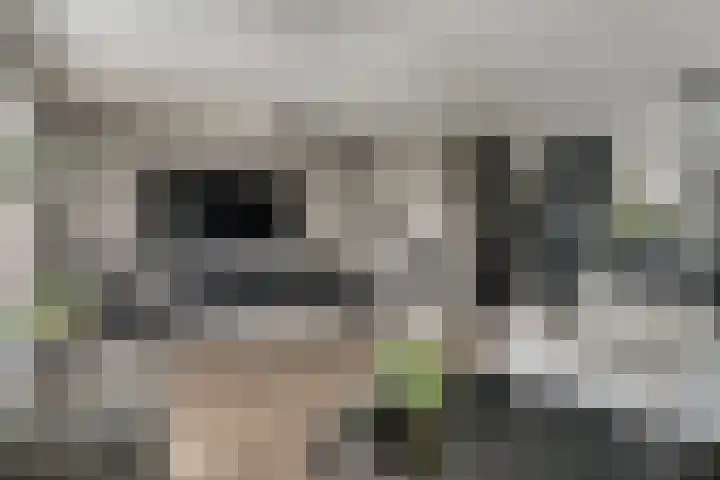 Kleine Steenkamp 14 Westervoort thumbnail 23