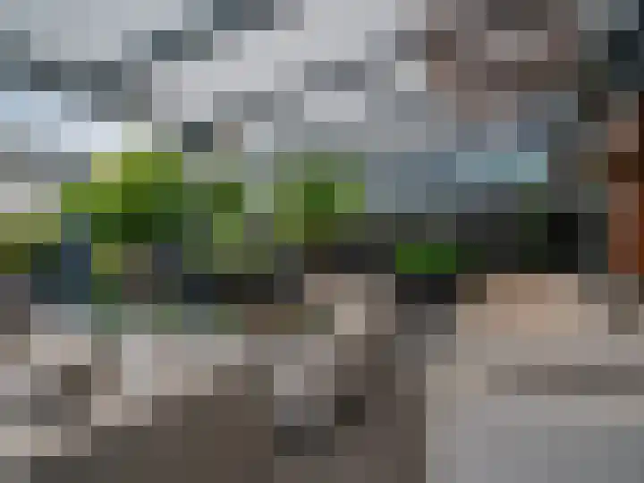Kleine Steenkamp 14 Westervoort thumbnail 25