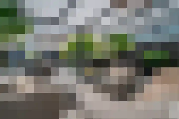 Kleine Steenkamp 14 Westervoort thumbnail 26