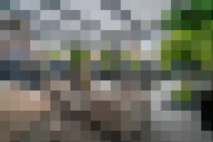 Kleine Steenkamp 14 Westervoort thumbnail 29