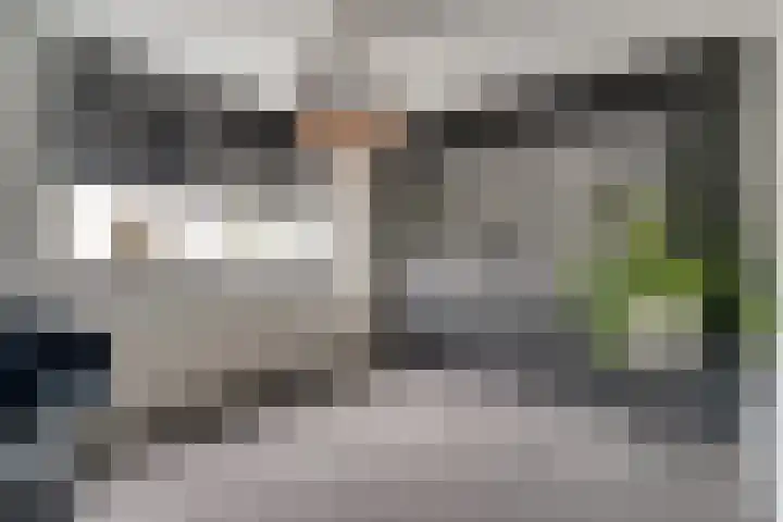 Kleine Steenkamp 14 Westervoort thumbnail 37