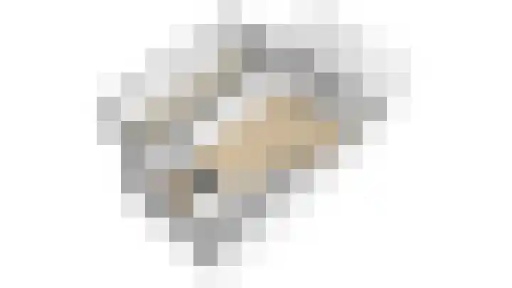 Kleine Steenkamp 14 Westervoort thumbnail 62