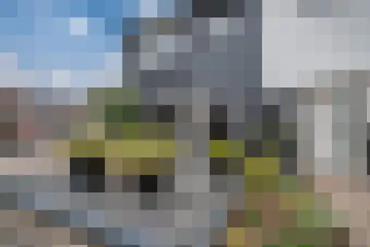 Kleine Steenkamp 14 Westervoort thumbnail 9