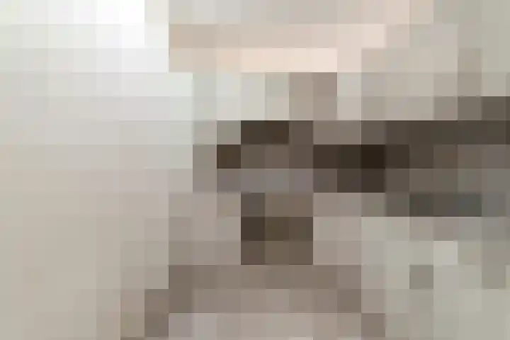 Kleine Steenkamp 38 Westervoort thumbnail 4