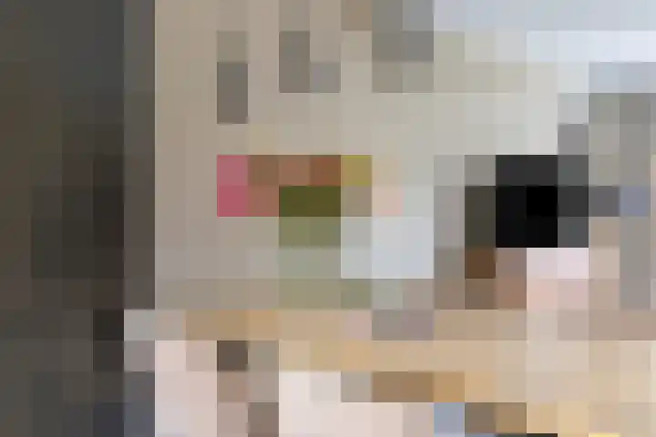 Kleine Steenkamp 4 Westervoort thumbnail 14