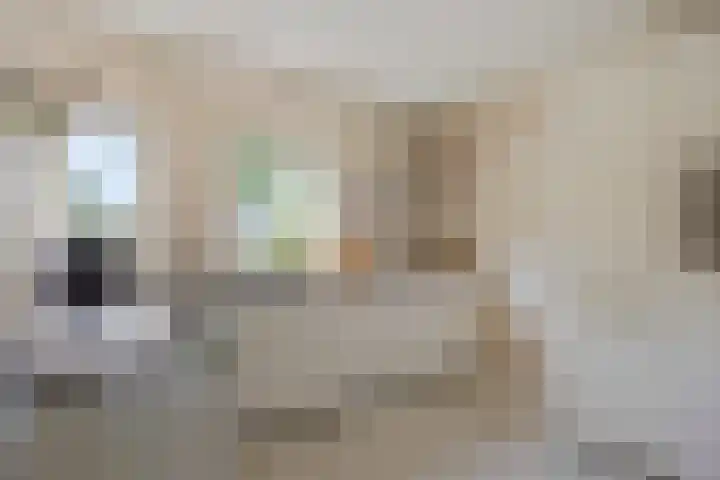 Kleine Steenkamp 4 Westervoort thumbnail 16