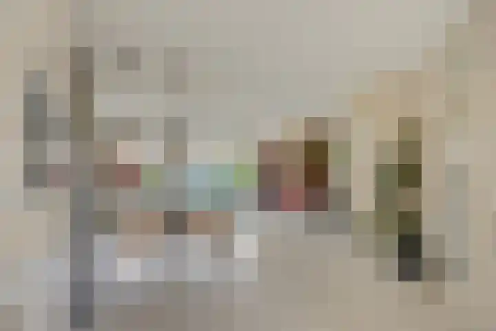 Kleine Steenkamp 4 Westervoort thumbnail 17
