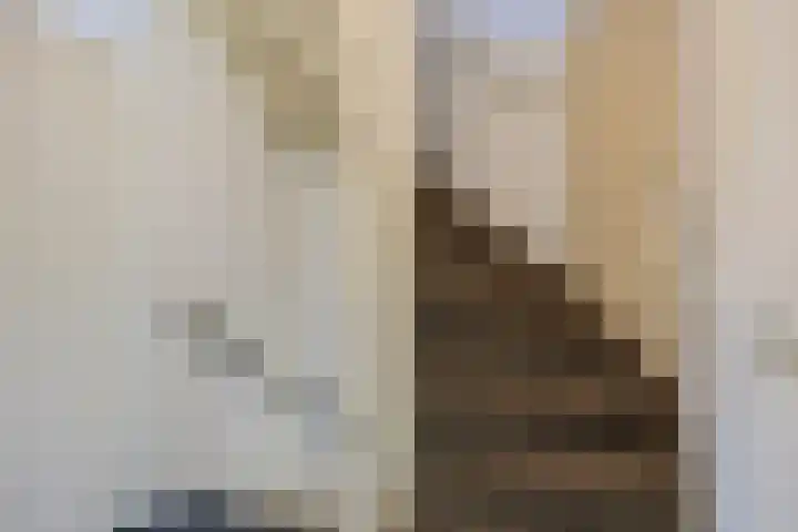 Kleine Steenkamp 4 Westervoort thumbnail 18