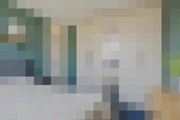 Kleine Steenkamp 4 Westervoort thumbnail 20