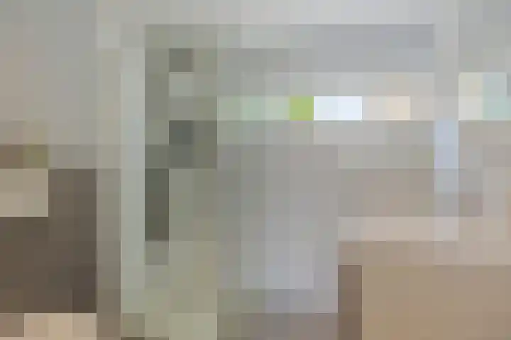 Kleine Steenkamp 4 Westervoort thumbnail 21