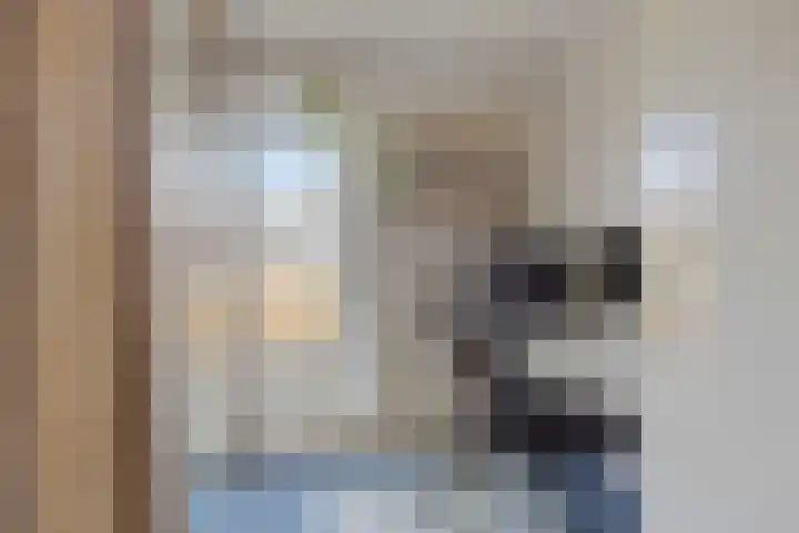 Kleine Steenkamp 4 Westervoort thumbnail 24
